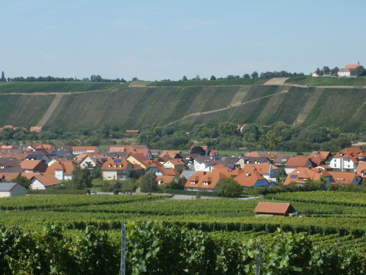 Gaestehof - Weinbau Saeger Nordheim am Main Exterior photo